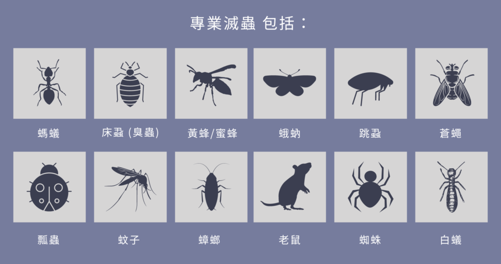 Look after Your personal property by means of High quality Pest Control Services