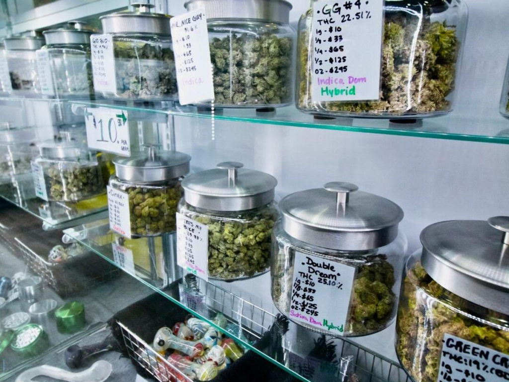 Weed in Bergen Navigating Norway’s Hashish Garden
